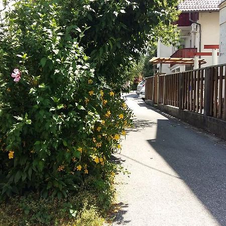 Sunflower Accommodation Ljubljana Eksteriør billede